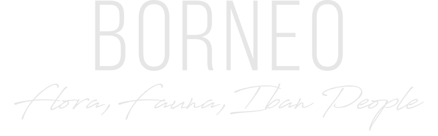 BORNEO